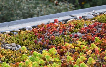 the cost of Torpoint green roof installation