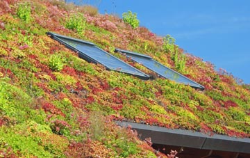 Torpoint living roof systems