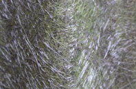 Torpoint fibreglass roof work